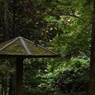 石切場の近くに、