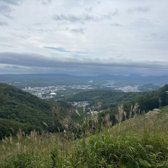 うさぎ平