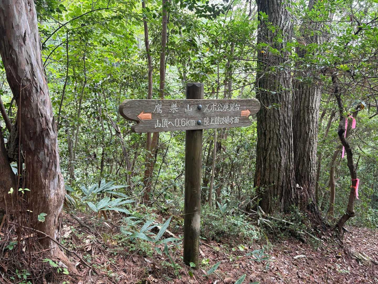 Cルートで下山