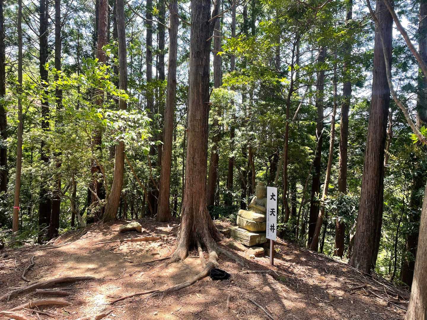 大天井に到着😁