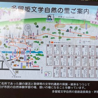 多留姫神社入り口まできました