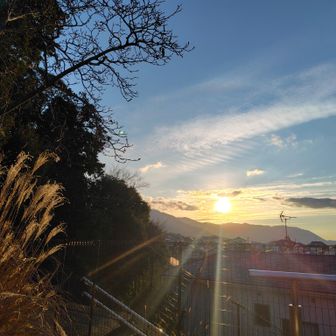 コーヒーとスイーツでしばし、眺めます。さて、お隣の神社に初詣に向かいましょう