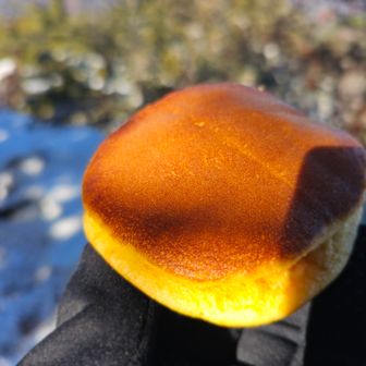 ネネマロさんにイチゴクリーム入りどら焼きいただきました
あんことめっちゃ合う😋