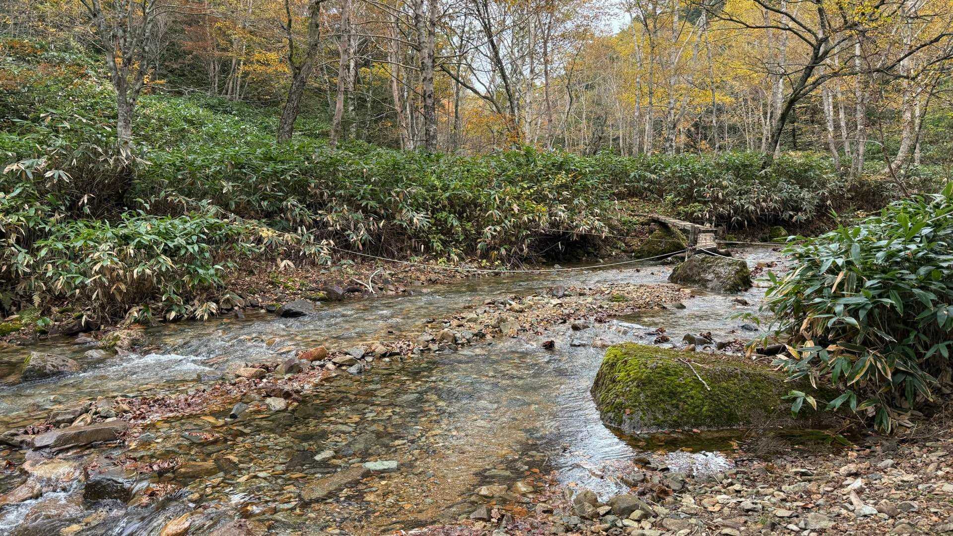 地蔵峠-地蔵山-堂岩山-猟師の頭-白砂山 往復コースの写真