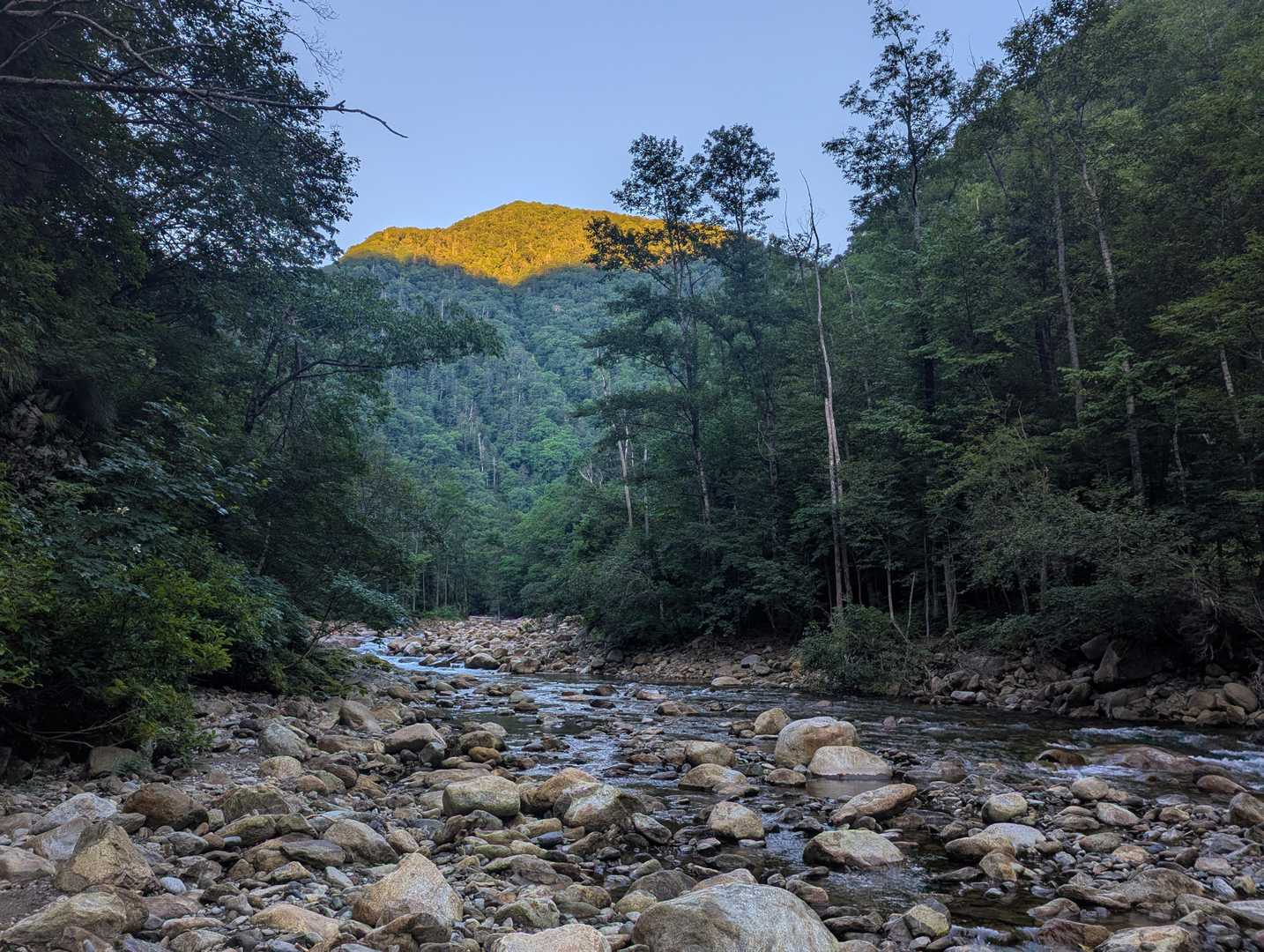 山に差す朝日
今は快適だけどこの後
暑くなりそうだ