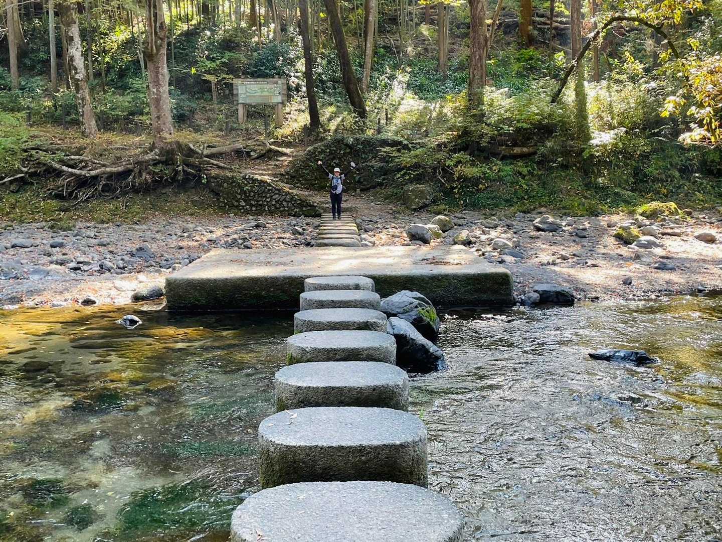 楽しい！