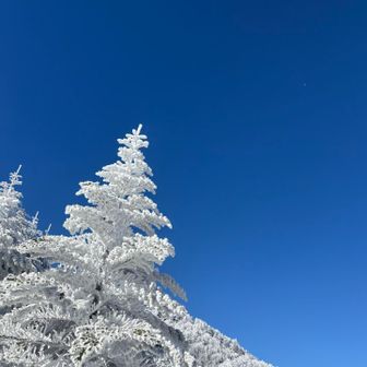 んーー❄️❄️