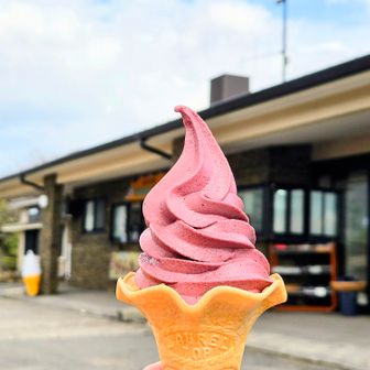 レストハウスで一休み 九重産ブルーベリー🍦
長者原からの泉水山周回ルートは 牧の戸峠でトイレ休憩出来るので重宝します