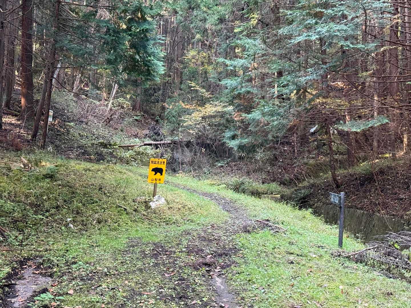 里の中を歩き、林道へ。さらに進むと登山道🥾
入り口には熊🐻出没注意⚠️の看板。

山頂にて、高川山の別の登山口近くで熊目撃情報あり。警察👮も大月駅で注意喚起していたようです。