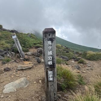 やっとここまで。