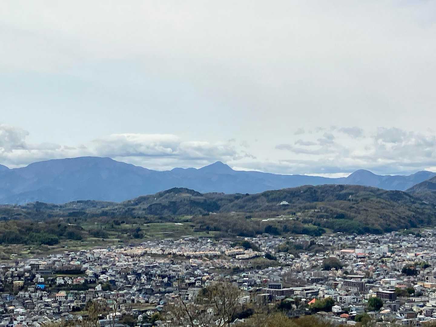 箱根の山々
左に明神ヶ岳
真ん中に金時山
右に矢倉岳