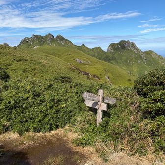 焼野三叉路で永田岳方面へ…