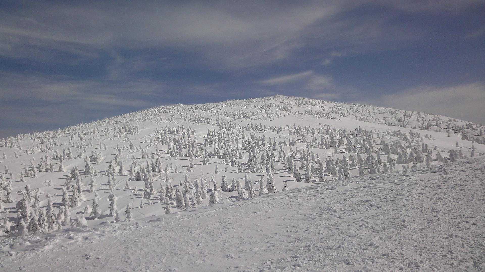 ゴンドラで手軽に天空の花畑へ。360度の絶景が迎える森吉山を往復の写真