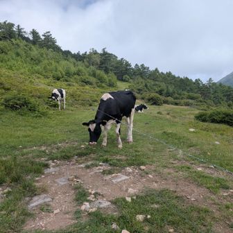 涼しくて快適だね🌿