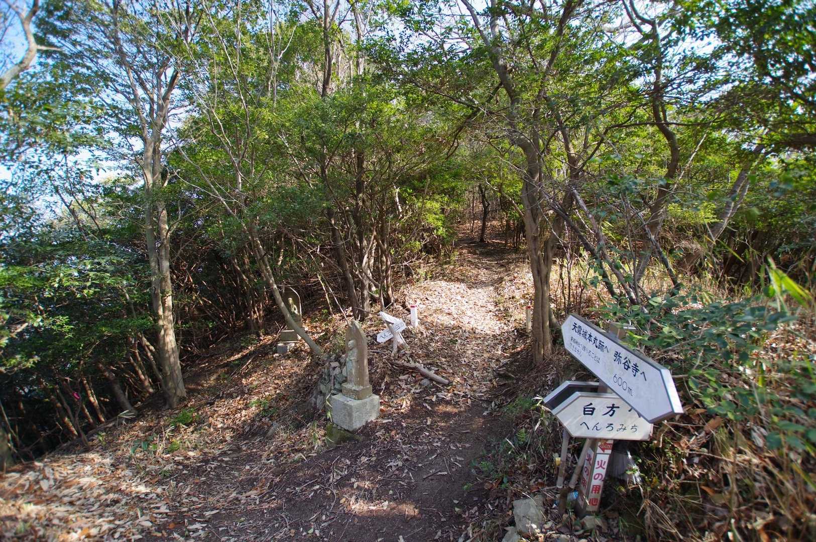 白方との分岐