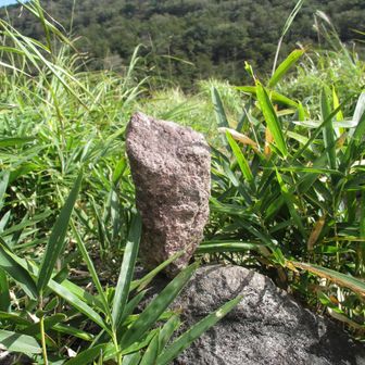 ひっそりとロックバランシング！
10cmぐらいのおおきさですよ(^-^;