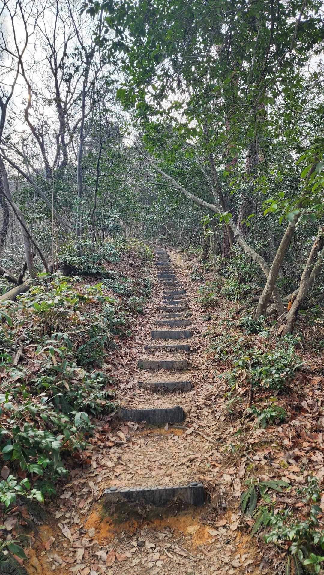 登り続くな～