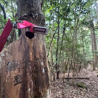 やっと下山！