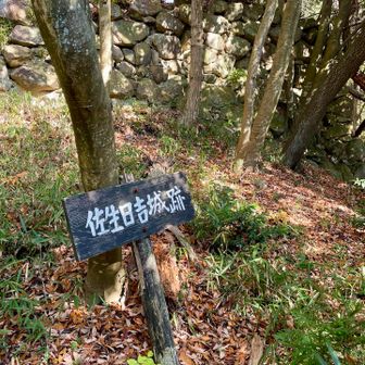 佐生日吉城跡🏯