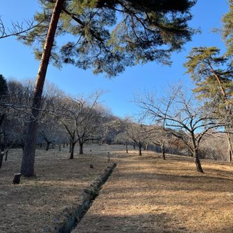 近くの野土山や荒川沿いの桜通り等の有名スポットと合わせて、桜の時期に来てみたいと思います。