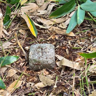 笹ヶ山975.4m
二等三角点　点名「鉄山」　
広くなった山頂で昼食