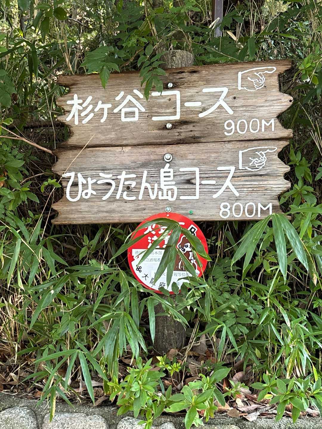 ひょうたんコースで登りました😀