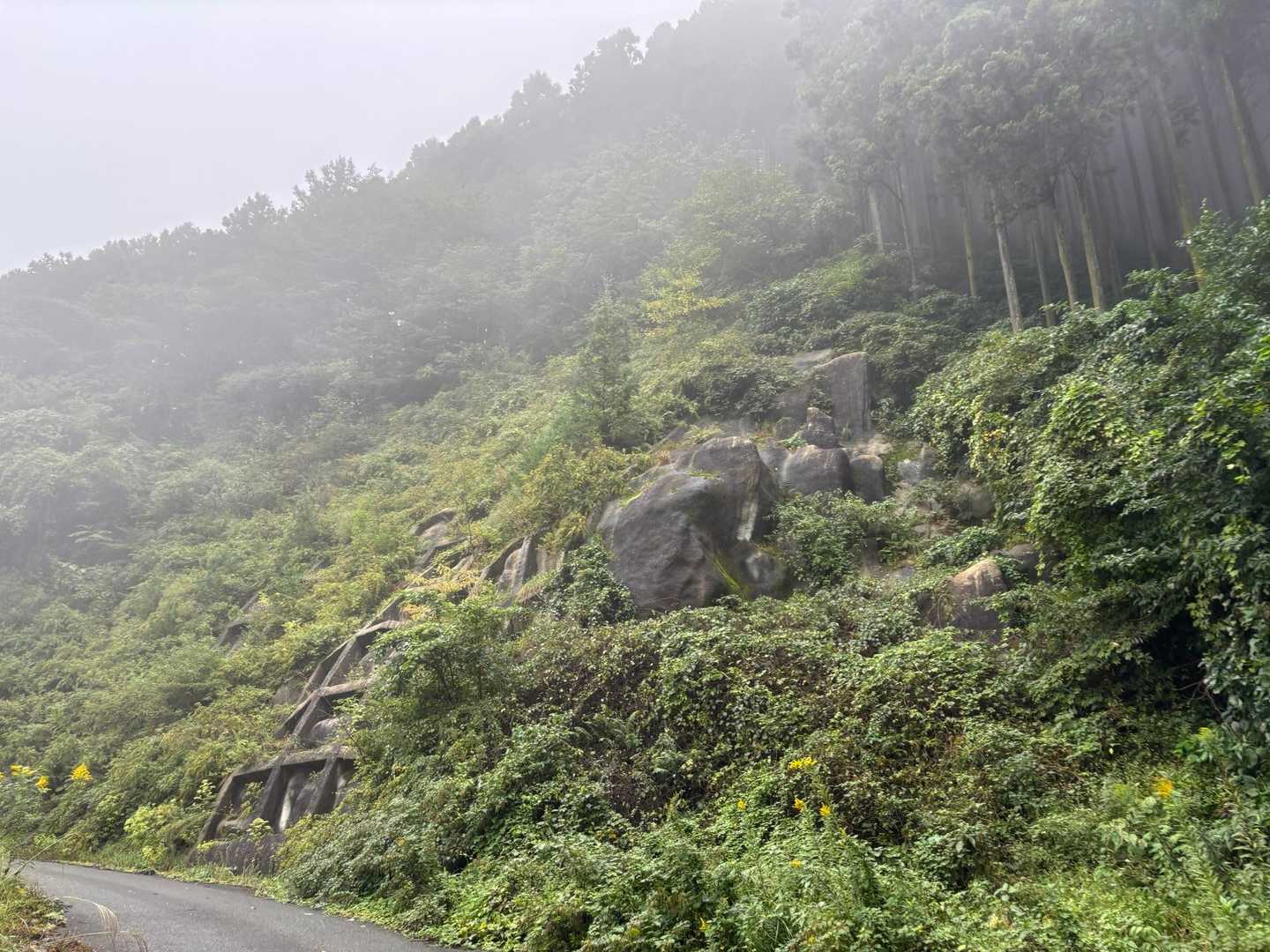 瑞梅寺登山口-井原山-本富士山-富士山-雷山-上宮-洗谷登 周回コースの写真