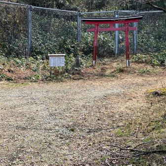 ここからの登りキツいっす