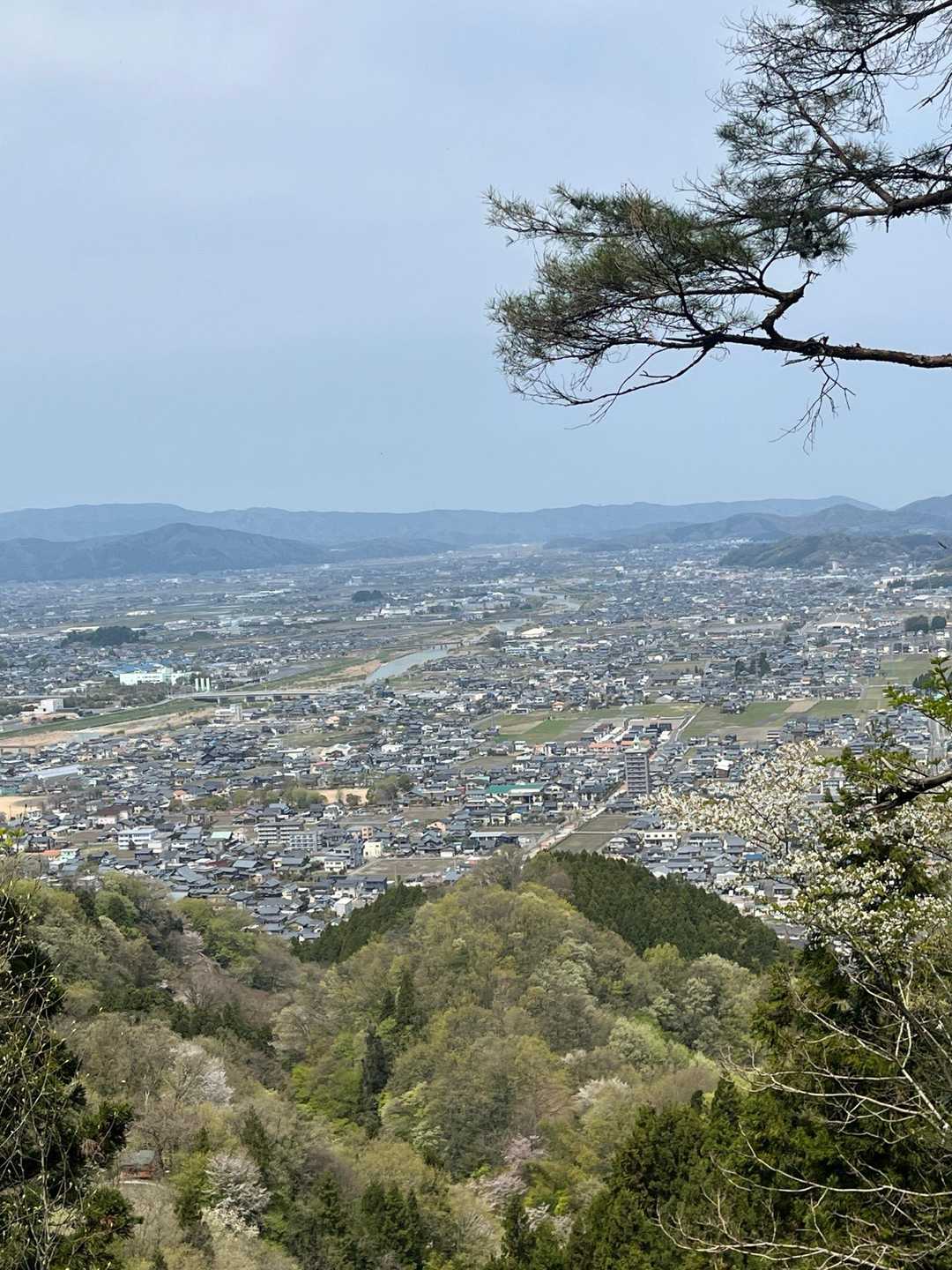 どっち方面かわかりません