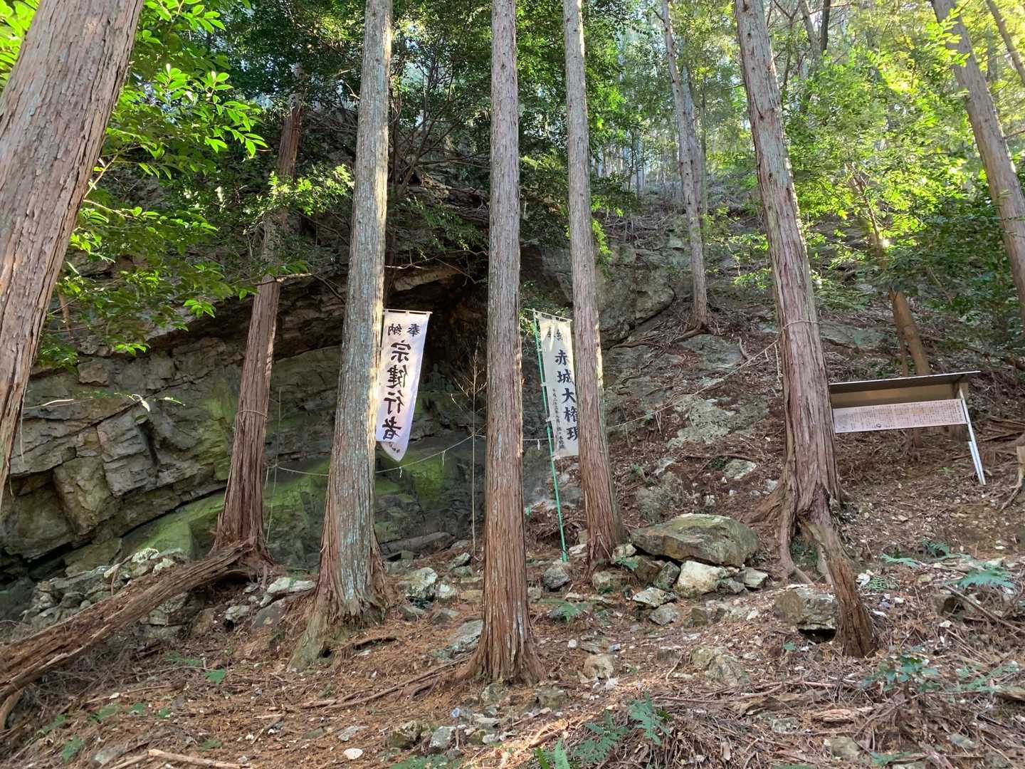 ノボリの終点にありました❗️