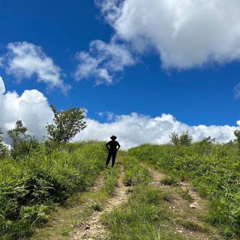 ﾏｯｸﾛｸﾛｽｹ;