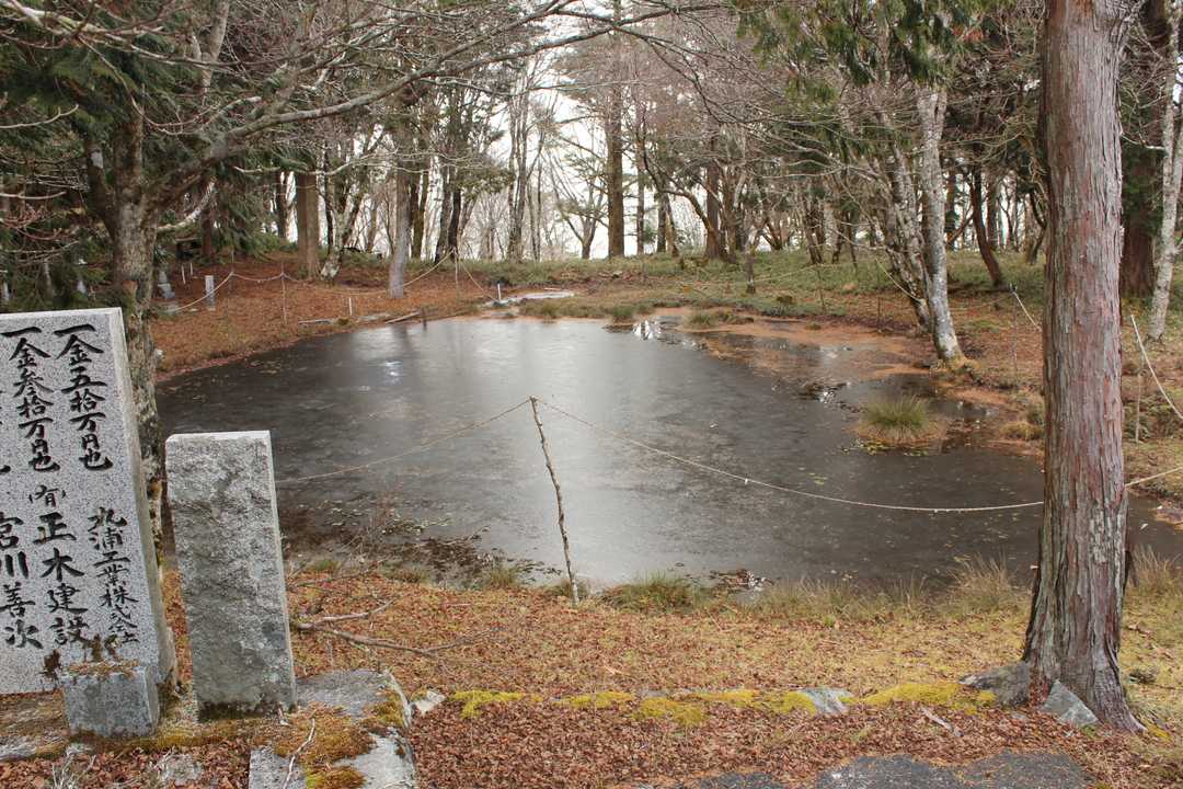 池には薄い氷が張っています。