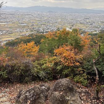 『鳶塚』からの眺め🍁