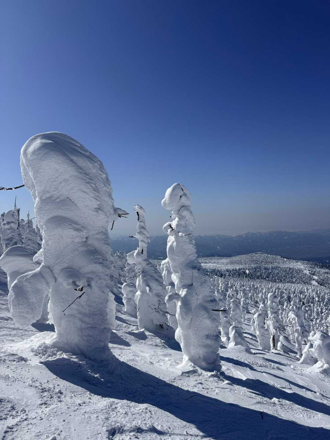 ️蔵王スノーモンスター⛄️地蔵岳・蔵王山(熊野岳)・鳥兜山 / michichiさんの蔵王山・雁戸山・不忘山の活動データ | YAMAP / ヤマップ