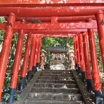 神社⛩️に降りてきました