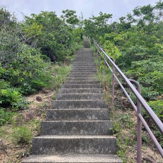 急な階段を登る⬆️