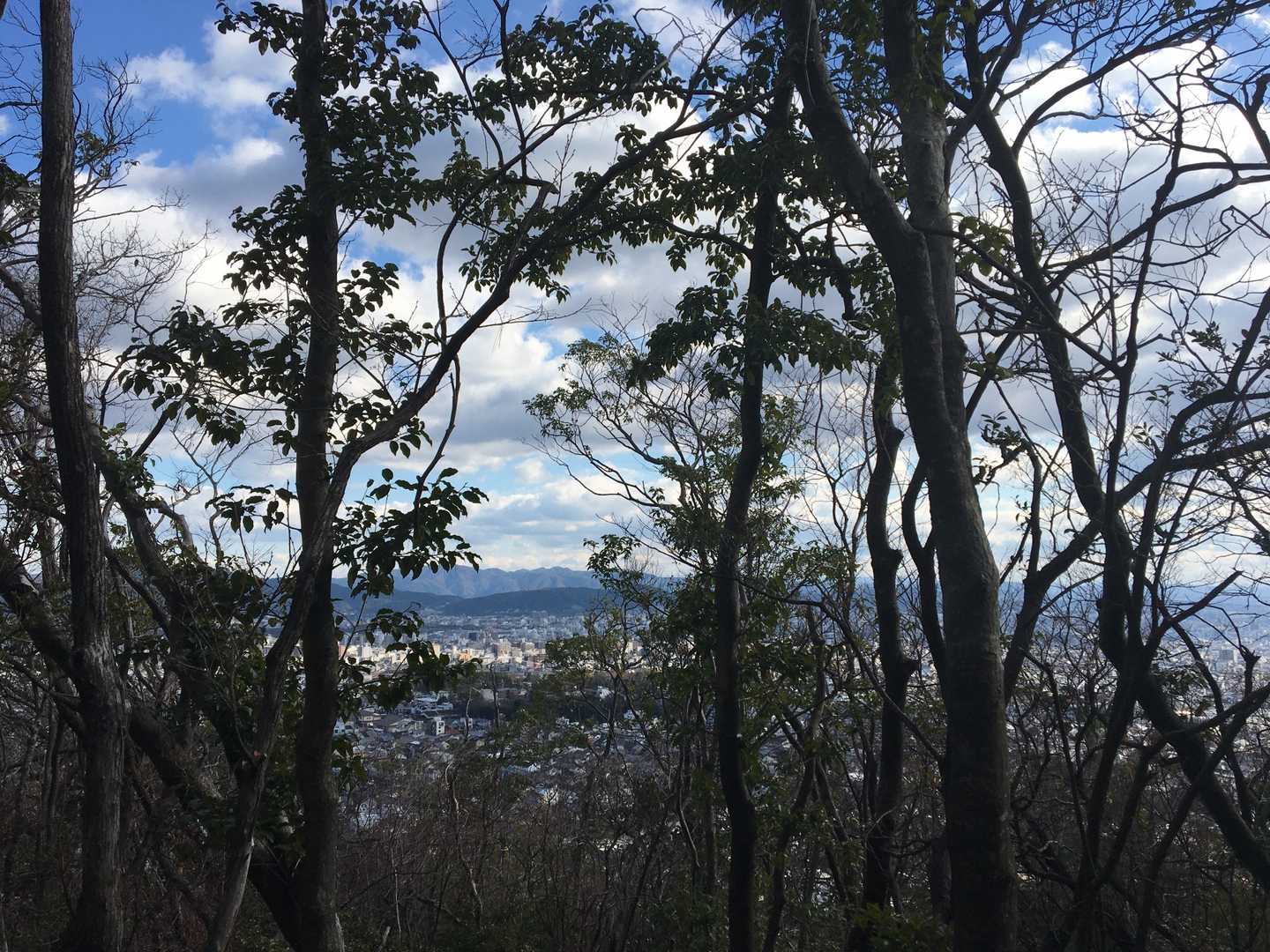 衣笠山 往復コースの写真