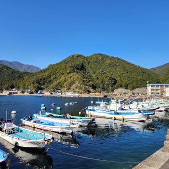 九鬼の港🛥️素朴で良い感じ