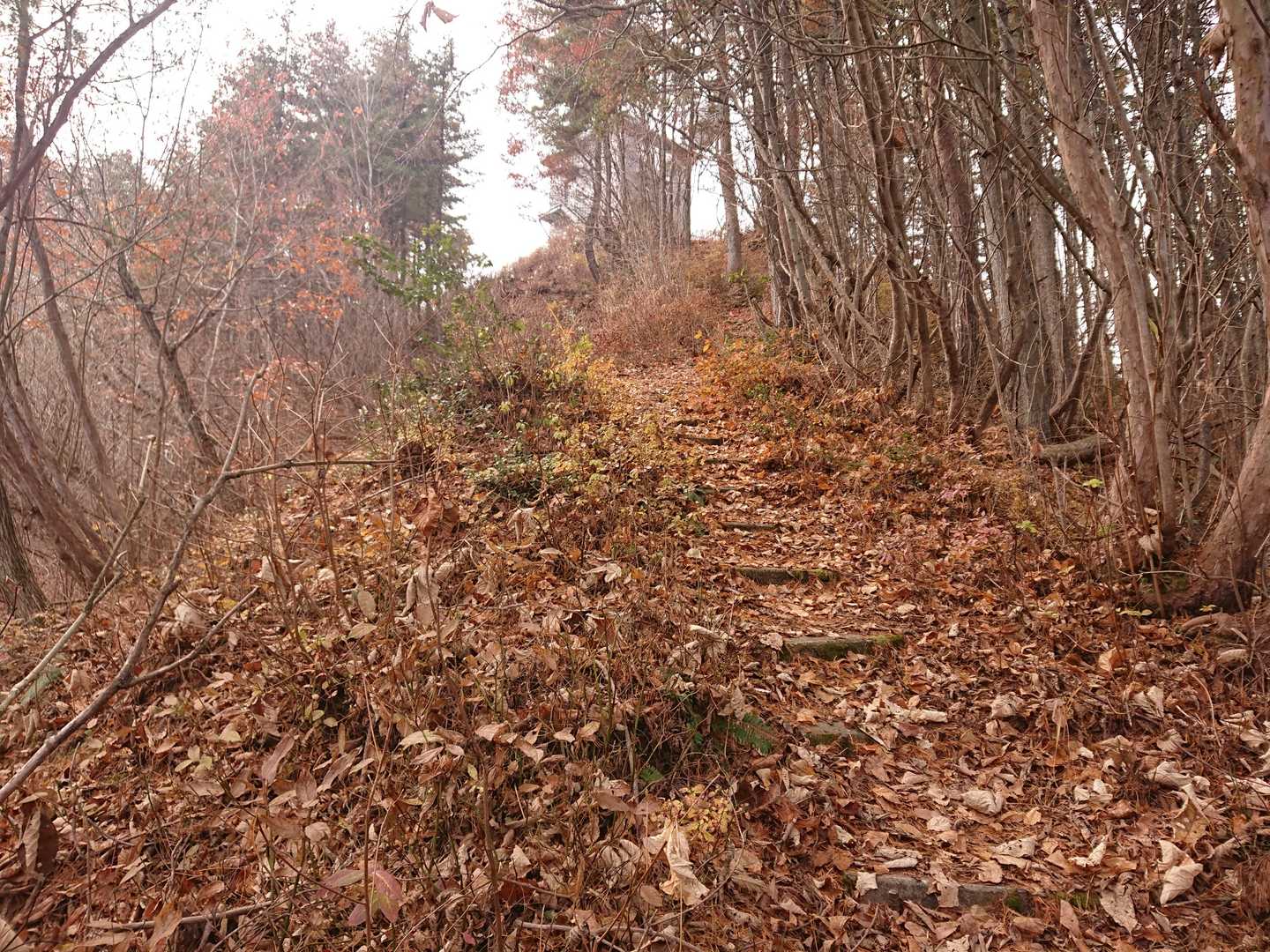 観音山 往復コースの写真