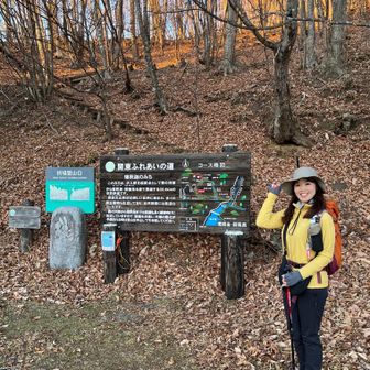 暗くなる前に下山できました。✨✨体もまだまだ元気！✨体力ついたことを再確認できました。😊後袈裟丸山までの登山道があればチャレンジしたかったな。