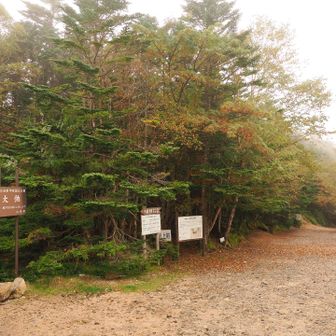 無事下山。だいぶ駐車場は空いていました。
