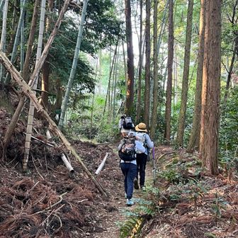 この辺りは歩きやすい道が続きました