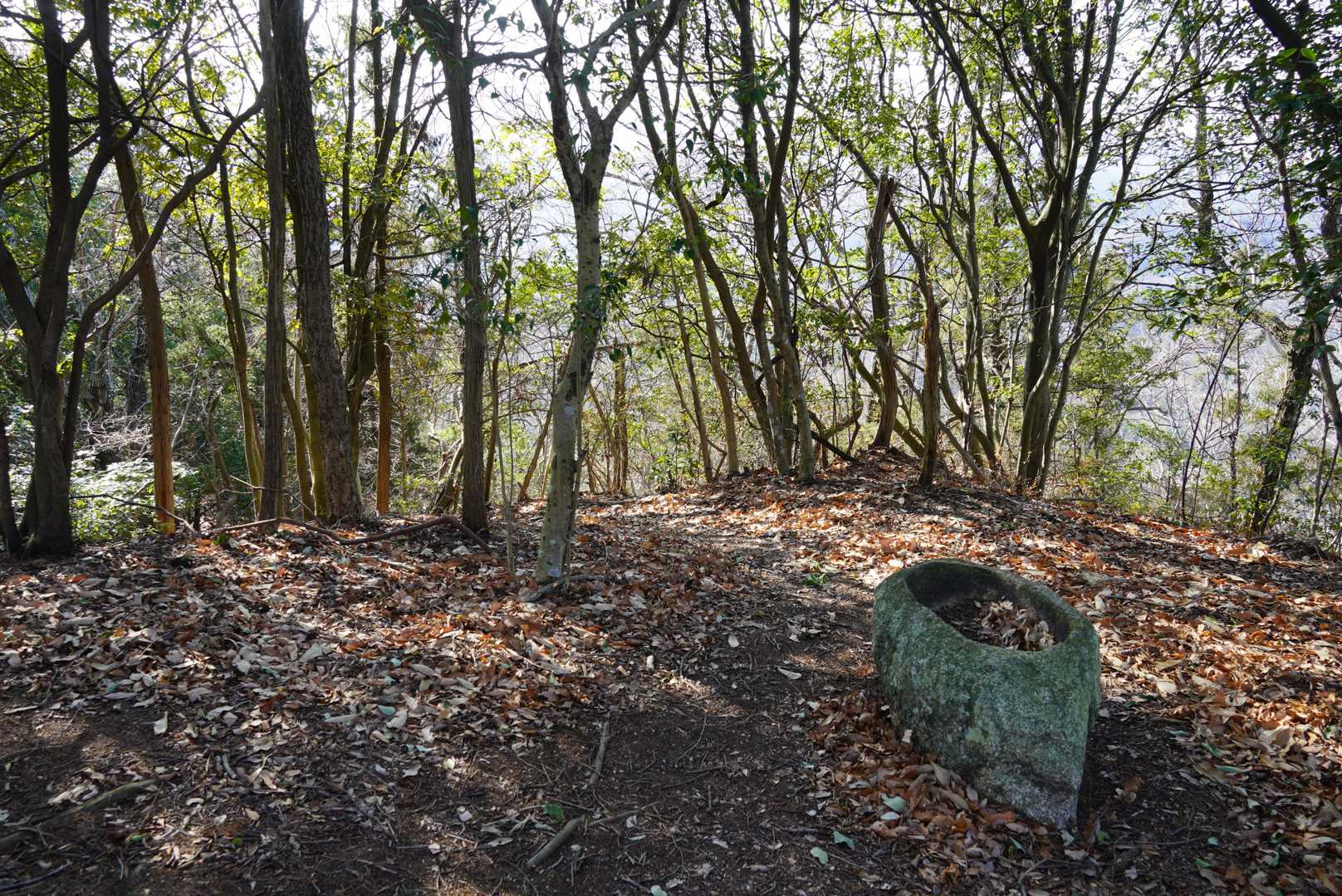 城山より下山