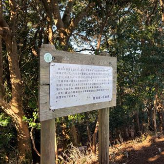 千葉県で12番目の標高らしい⛰️
千葉県最高峰は現時点では立入再開の目処がつかず😭