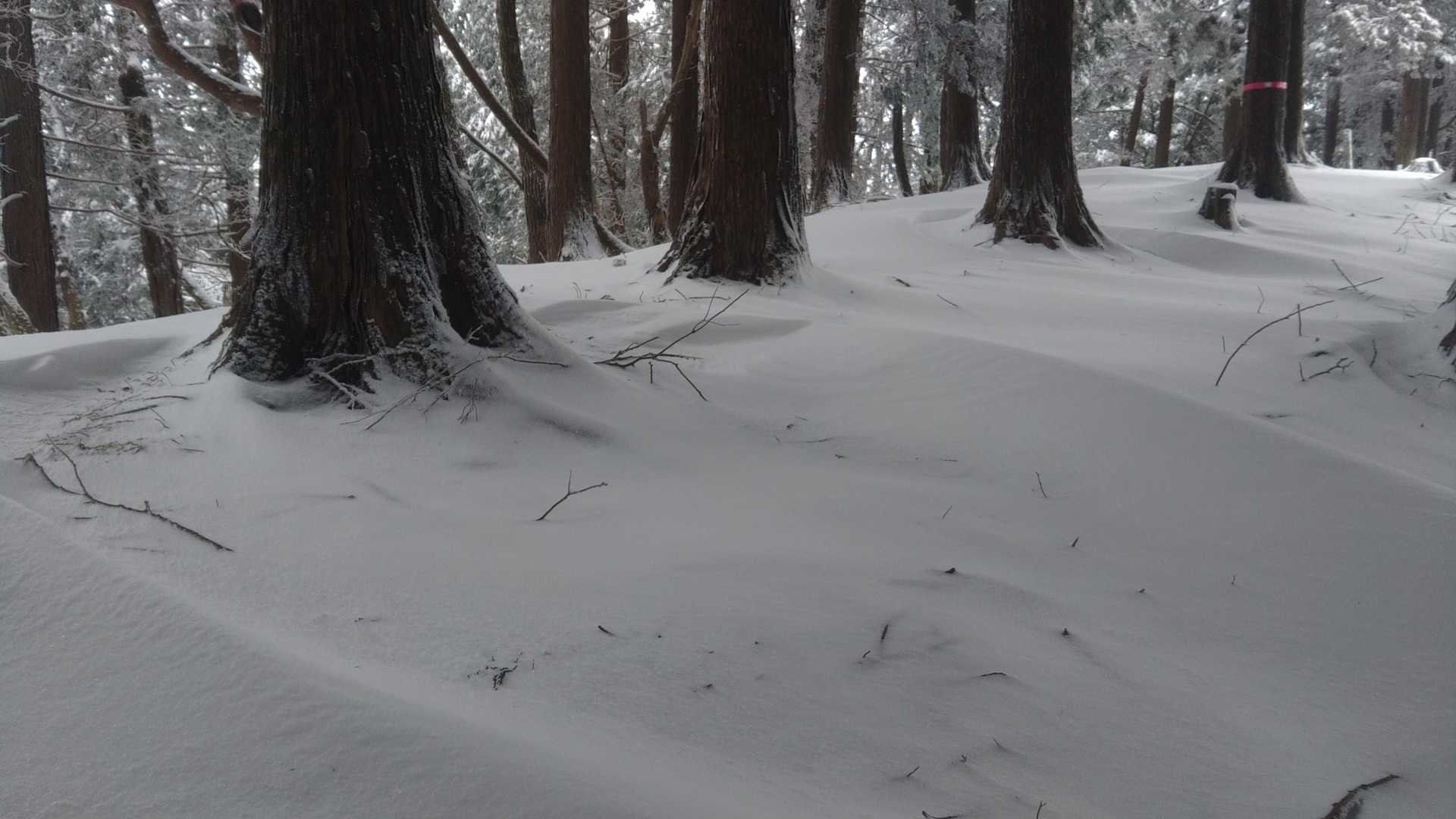三国峠-三国岳 往復コースの写真
