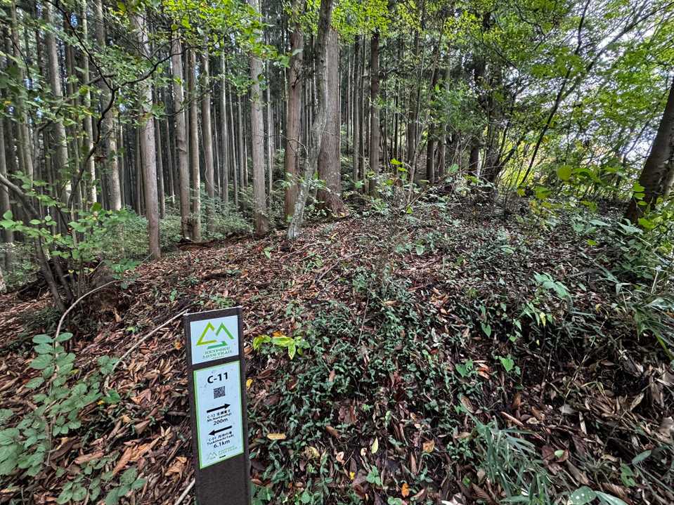 生瀬富士・茨城のジャンダルム・立神山・月居山 の写真 2
