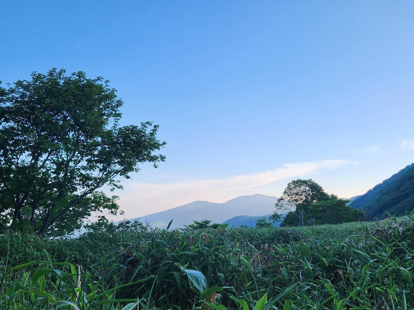 うだる暑さの地元と違い、この時間はひんやりするくらい✨