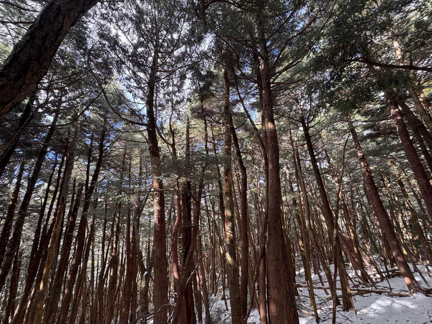 金峰山（廻り目平）の写真