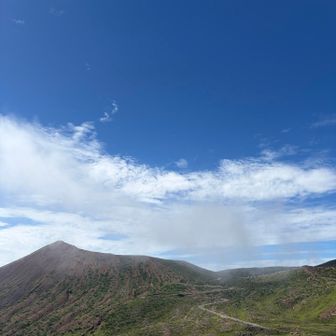 今日の目的の景色。登山口までずっと霧の中だったから半ば諦めてたけど、来てよかった。