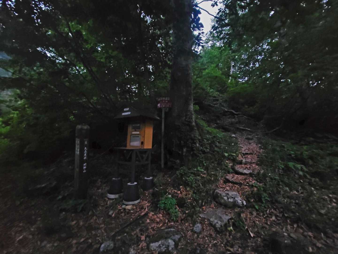天狗平コースからピストン
登り口からすでに急登